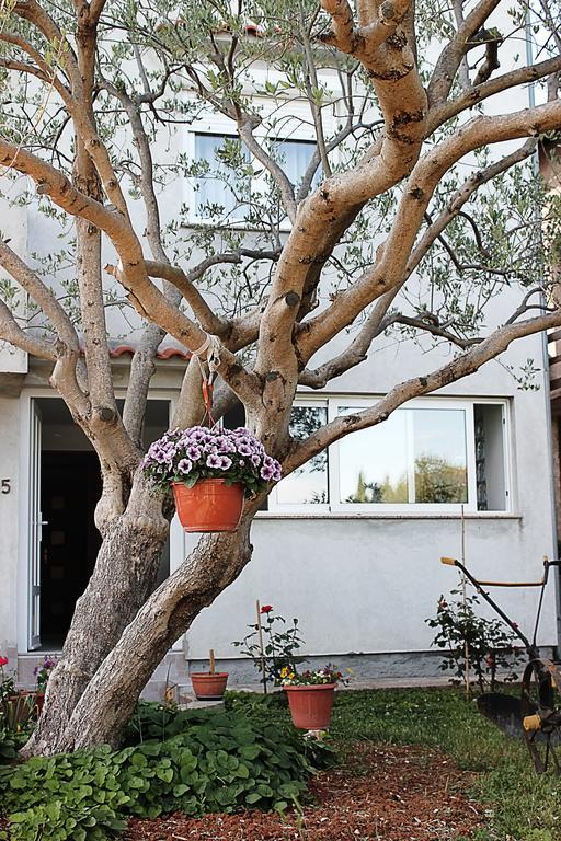 Apartment Donat Zadar Værelse billede
